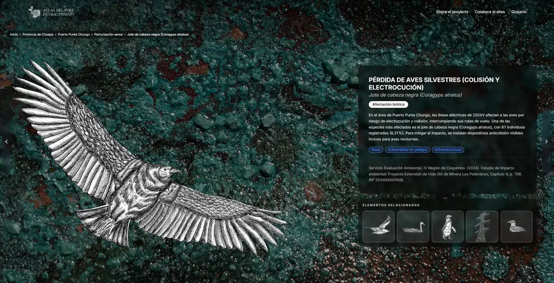 Atlas del Post-extractivismo — 3