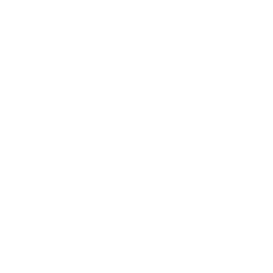 C / C++